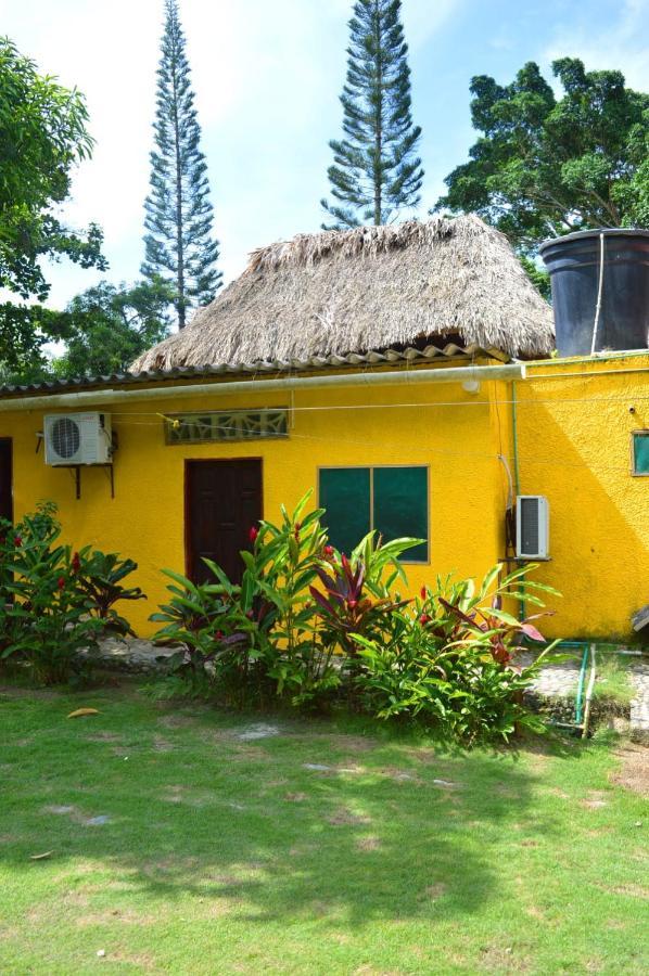 Ecohostal Palmares Del Rio Guachaca Exteriör bild
