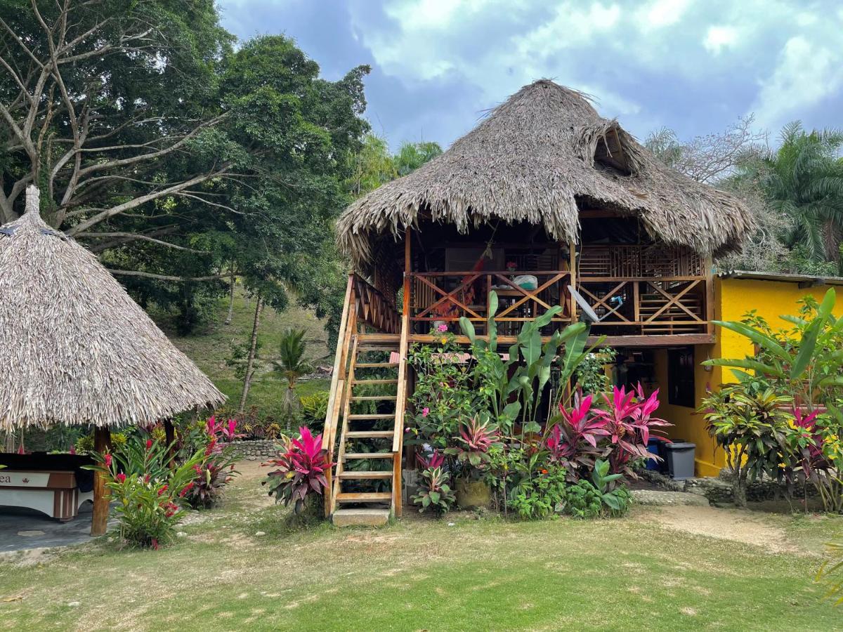 Ecohostal Palmares Del Rio Guachaca Exteriör bild