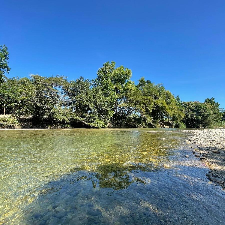 Ecohostal Palmares Del Rio Guachaca Exteriör bild