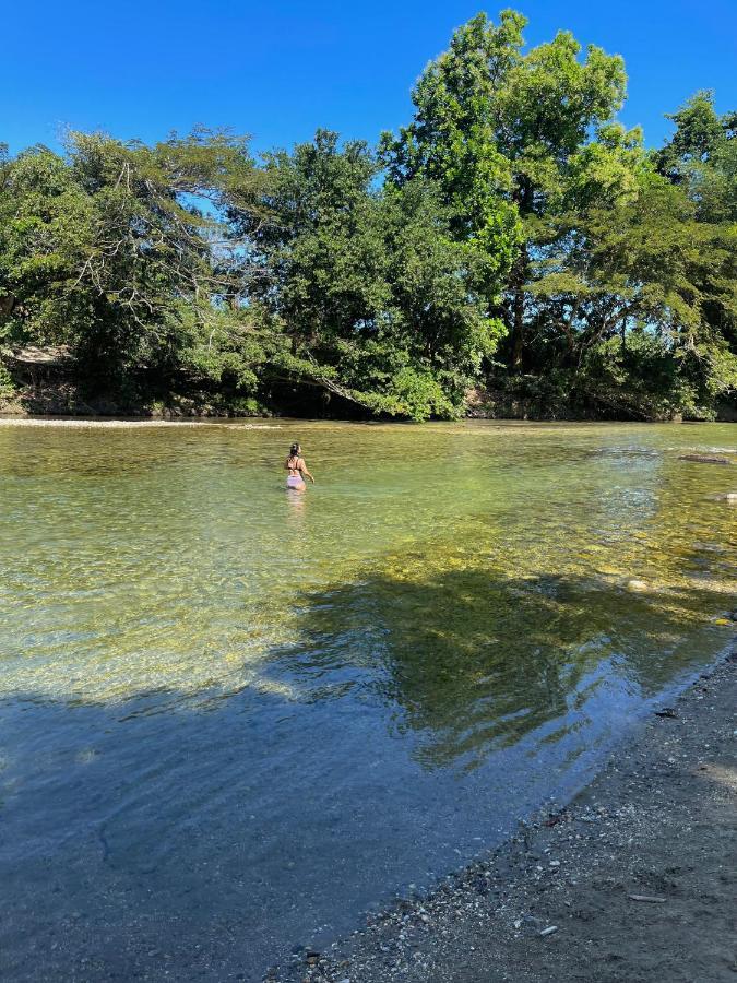 Ecohostal Palmares Del Rio Guachaca Exteriör bild