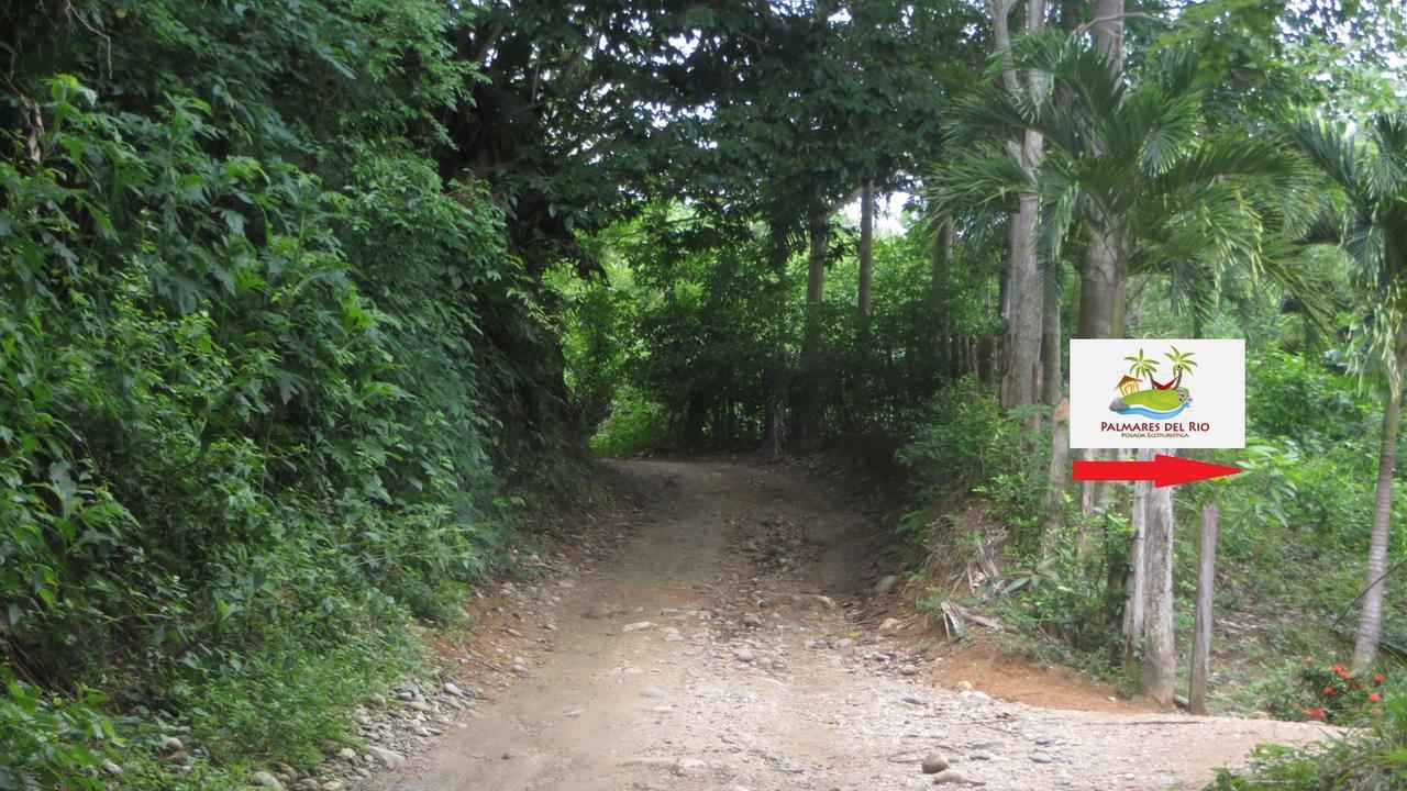 Ecohostal Palmares Del Rio Guachaca Exteriör bild