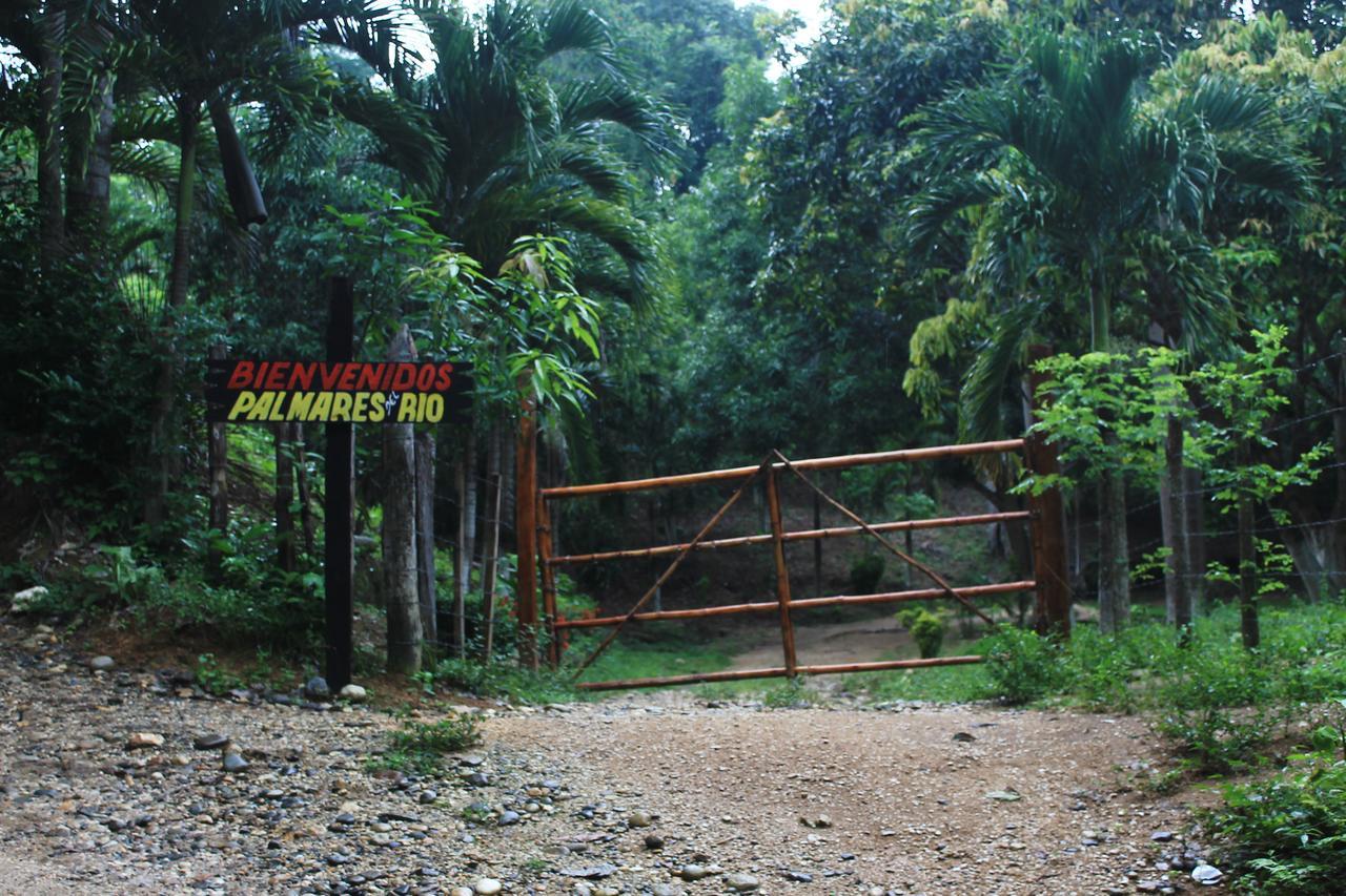 Ecohostal Palmares Del Rio Guachaca Exteriör bild