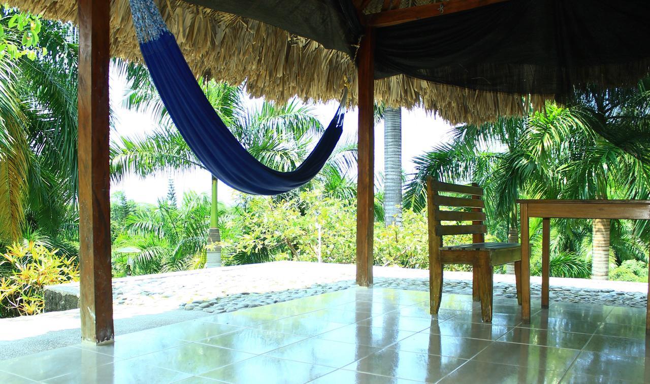 Ecohostal Palmares Del Rio Guachaca Exteriör bild