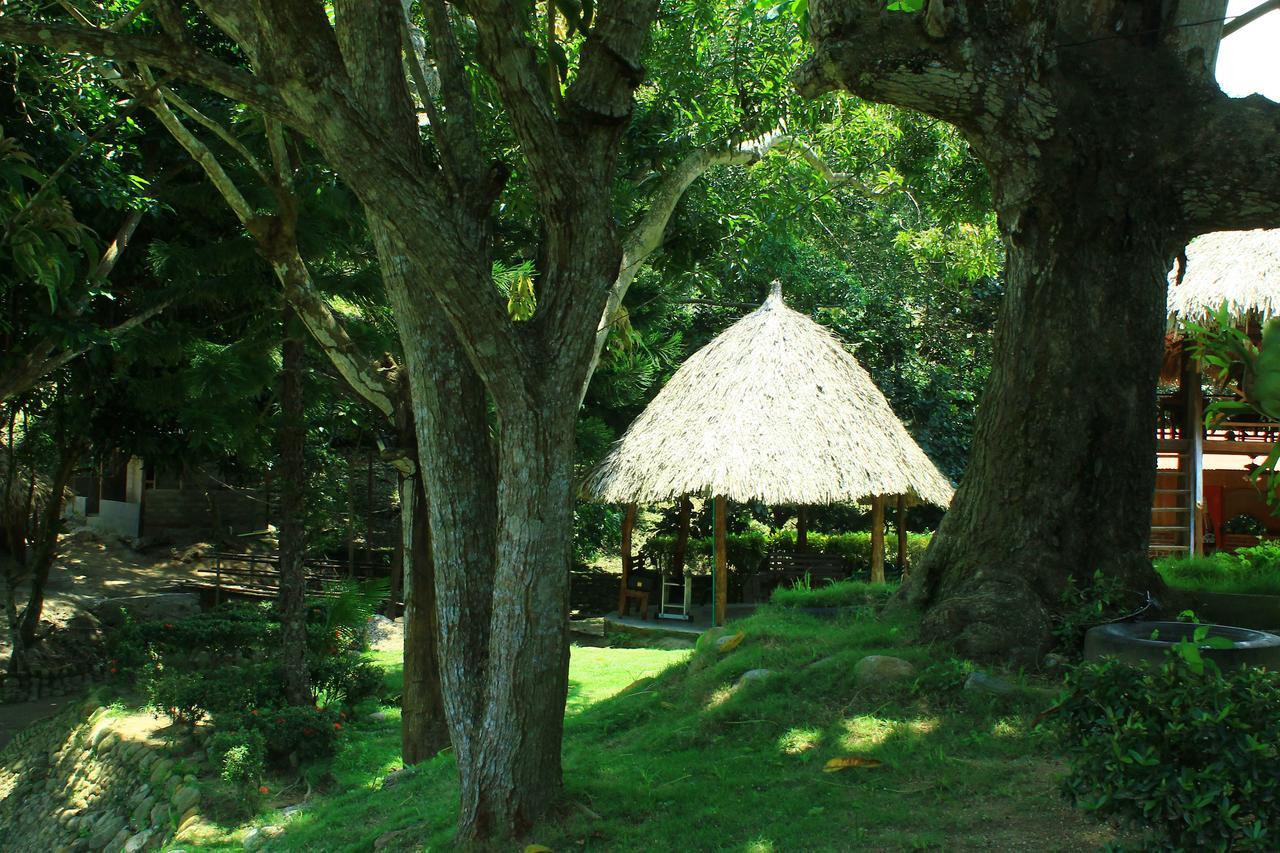 Ecohostal Palmares Del Rio Guachaca Exteriör bild